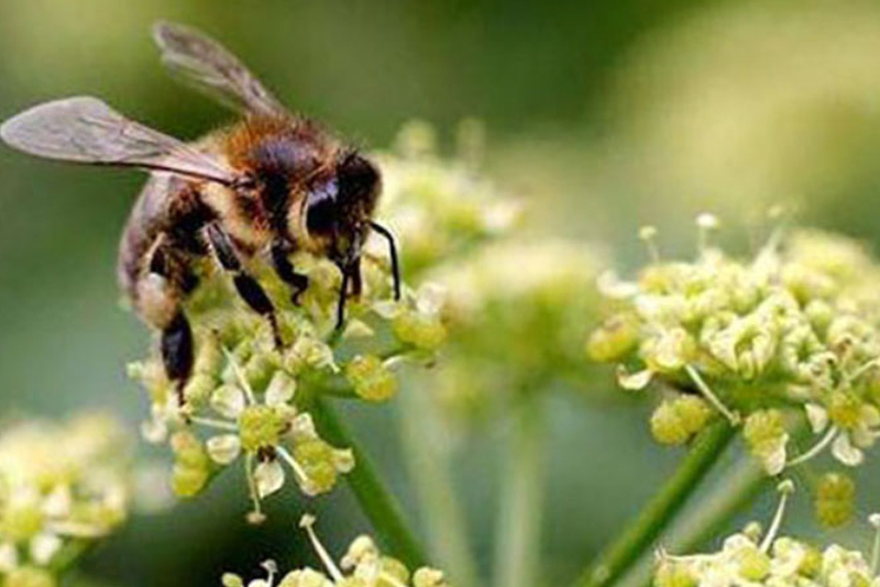 alergika-test-kyriakakis