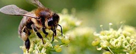 alergika-test-kyriakakis--55